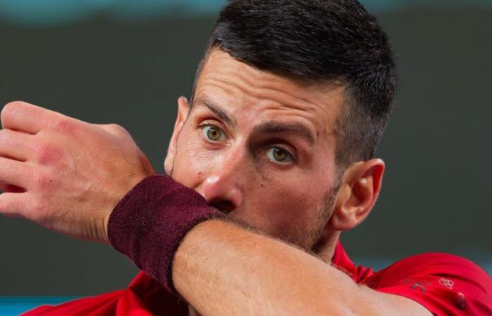 Was fehlt Novak Djokovic?