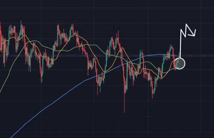 Wöchentliche Daten: Rohöl und Bitcoin: Preisprognosen