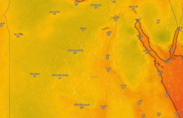 Ein plötzlicher Sommerangriff … eine wichtige Aussage zum Wetter heute, Dienstag, 8. Oktober 2024