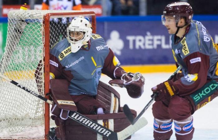 Hockey: ein 18-jähriger Torwart in der Champions League mit Genève-Servette