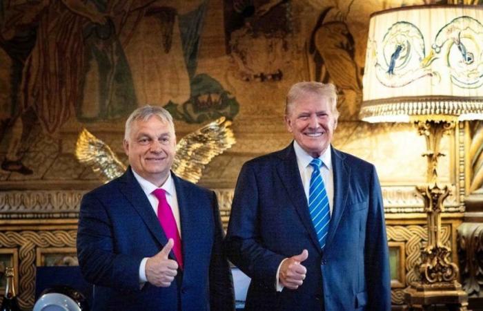 US-Präsidentschaftswahl: Orban verspricht, „viele Flaschen Champagner“ zu öffnen, falls Trump gewählt wird