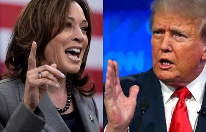 Kamala Harris führt Donald Trump in der Umfrage der New York Times an