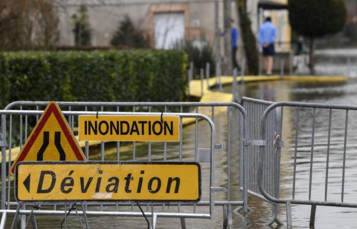 Nach Marseille stehen Rhône und Ain mit den Füßen im Wasser