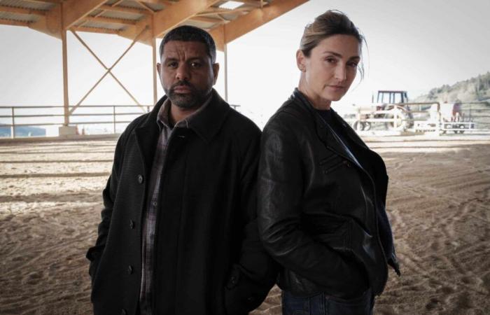 „Besorgniserregendes Verschwinden“ heute Abend auf France 2: „Zurück zu den Grundlagen“ mit Julie Gayet und Youssef Hajdi