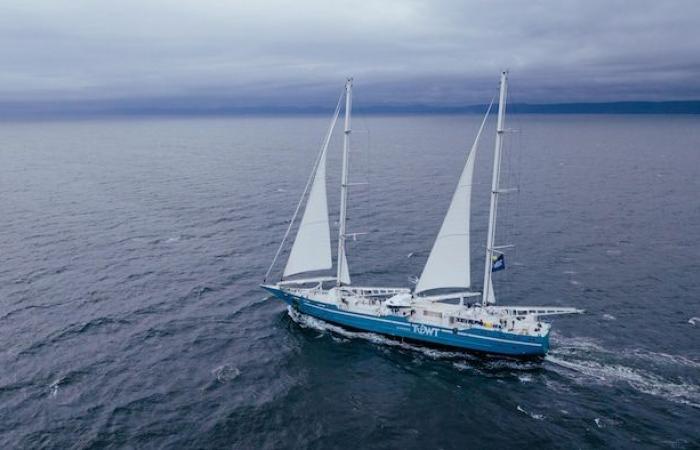 Dank Frachtsegelbooten auf dem Weg zur maritimen Dekarbonisierung