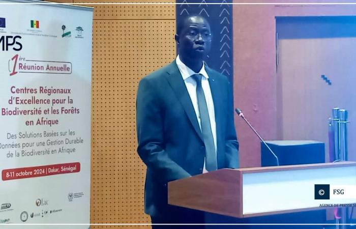 SENEGAL-AFRIKA-UMWELT / Daouda Ngom befürwortet die Suche nach Informationen zur Rettung der Artenvielfalt – senegalesische Presseagentur