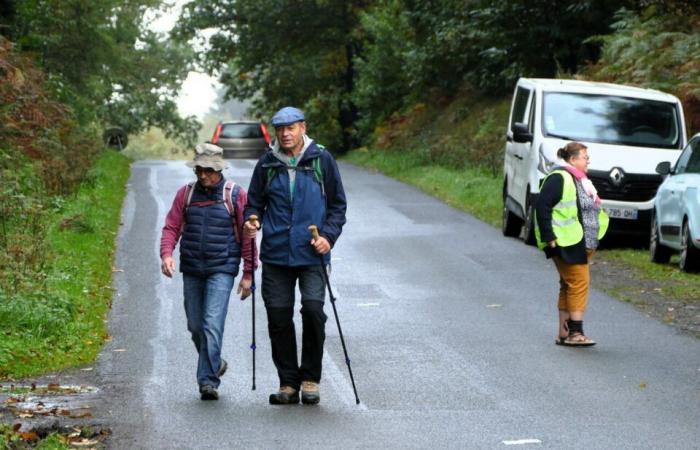 FOTOS. 510 Wanderer versammelten sich in einem Calvados-Wald