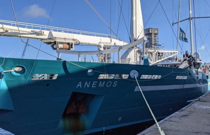 Ein erstes Frachtsegelboot kommt im Hafen von Quebec an