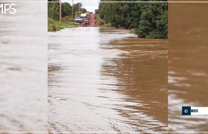 SENEGAL-UMWELT / Saraya durch Überschwemmung des Falémé und der Backwaters vom Rest des Landes isoliert (Zeuge) – Senegalesische Presseagentur