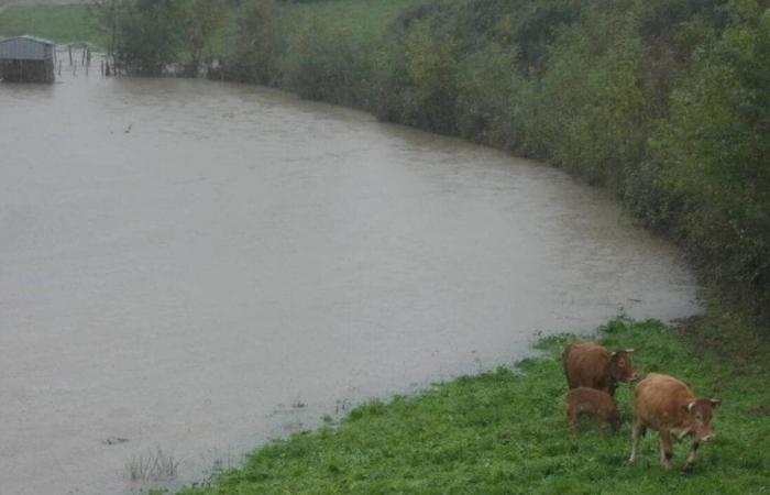 Sturm Kirk. Für die Bauern und Gärtner der Loire-Atlantique ist der Schlag hart