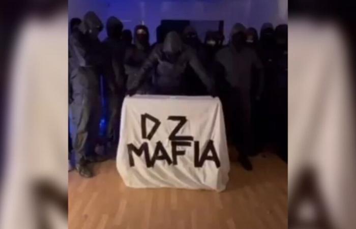 Ermittlungen nach Ausstrahlung eines ungewöhnlichen Videos der „DZ Mafia“ eröffnet