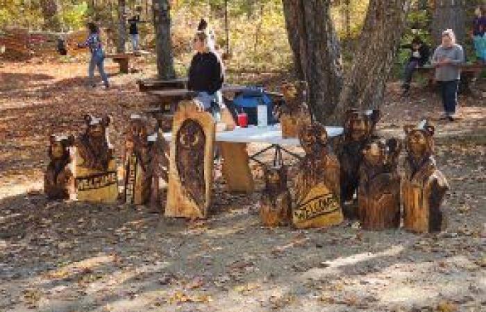 Ein Rückblick auf den Lumberjack Day im Parc des Chutes Coulonge – CHIP FM