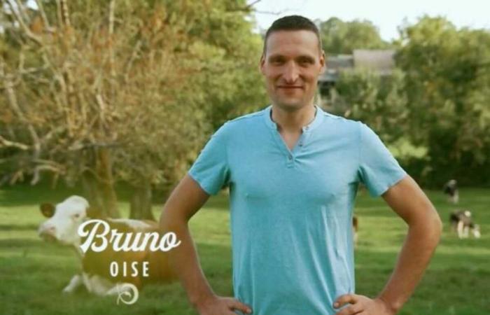 In der nächsten Folge packt eine Verehrerin von Bruno aus „Liebe liegt auf der Wiese“ nach einem Gespräch mit dem Bauern ihre Koffer