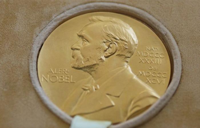 Der Nobelpreis für Chemie geht an David Baker, Demis Hassabis und John Jumper