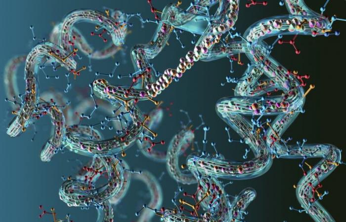 Der Nobelpreis für Chemie belohnt Arbeiten zu Proteinen