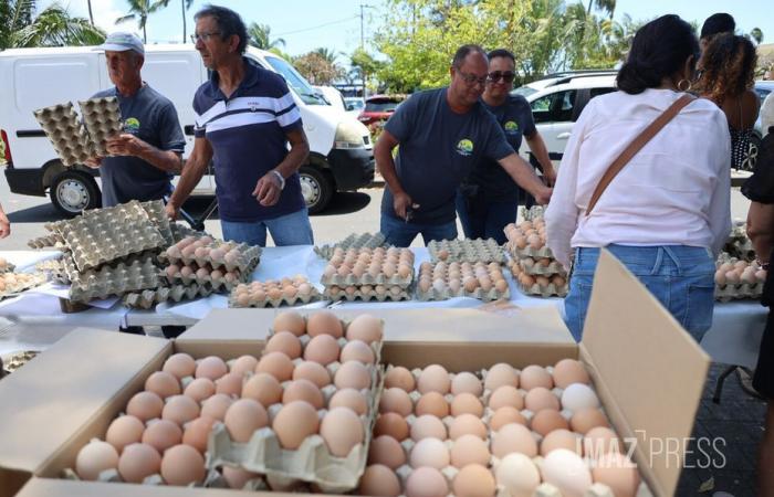 Verteilung kostenloser Eier in Saint-Denis, Zuchtzüchter verärgert