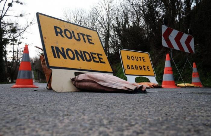 Aufgrund der hohen Überschwemmungswarnung verbietet Seine-et-Marne an diesem Donnerstag den Schultransport