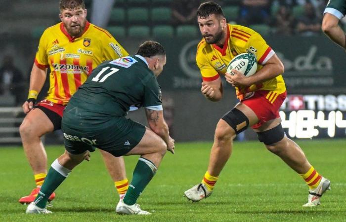 Top 14 – USAP: Mathieu Tanguy, die Rückkehr eines Soldaten, der bereit ist, bei einer manchmal unregelmäßigen Eroberung zu helfen