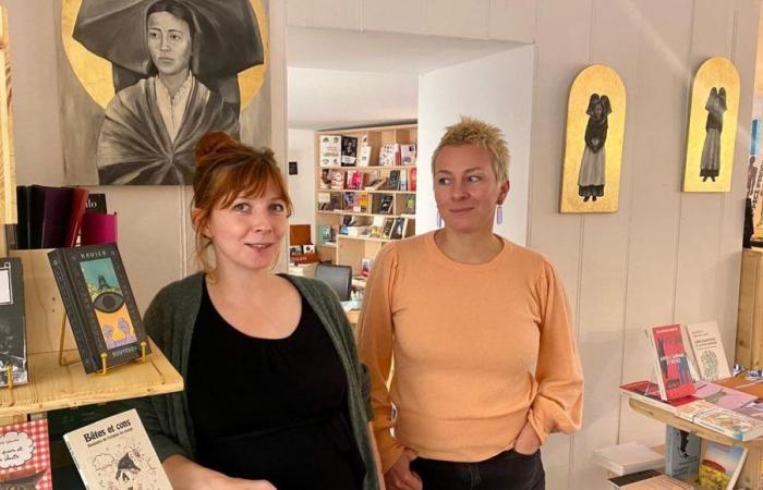 Straßburg, Welthauptstadt der Bücher: Die Buchhandlung Oiseau Rare „braucht noch 9.000 Euro“, um zu überleben