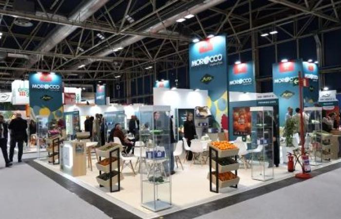 Marokko unterstreicht sein Know-how auf der 16. Messe „Fruit Attraction“ in Madrid – AgriMaroc.ma