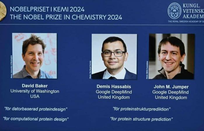 Nobelpreis für Chemie 2024: ein herausragendes Trio für Proteindesign und -vorhersage