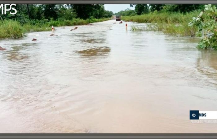 SENEGAL-UMWELT / Saraya durch Überschwemmung des Falémé und der Backwaters vom Rest des Landes isoliert (Zeuge) – Senegalesische Presseagentur