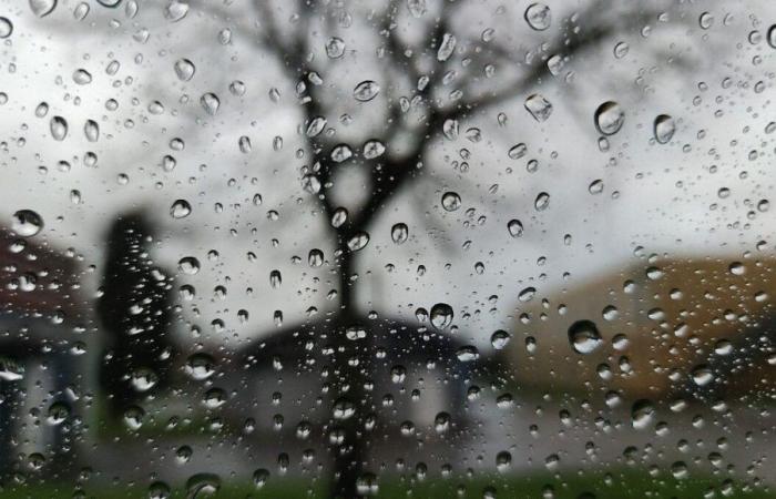 „Es ist, als würde man einen Schwamm voller Wasser gießen“, Loire-Atlantique und Vendée über die orangefarbene Regen-Überschwemmungs-Wachsamkeit