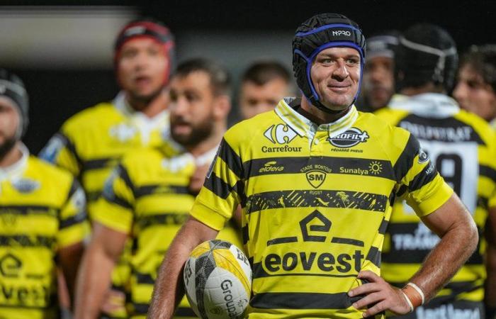 Pro D2 – Willie du Plessis (Stade Montois): „Ich habe meine Liebe zum Rugby in Mont-de-Marsan wiederentdeckt“