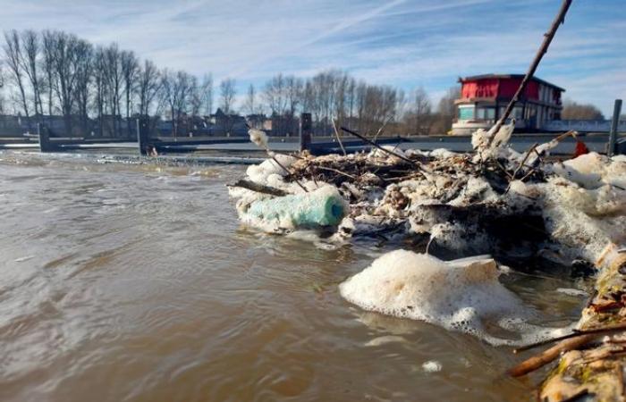 Nichts mit dem Kirk-Sturm zu tun: Die Loire steht kurz vor einer Überschwemmung im Loiret