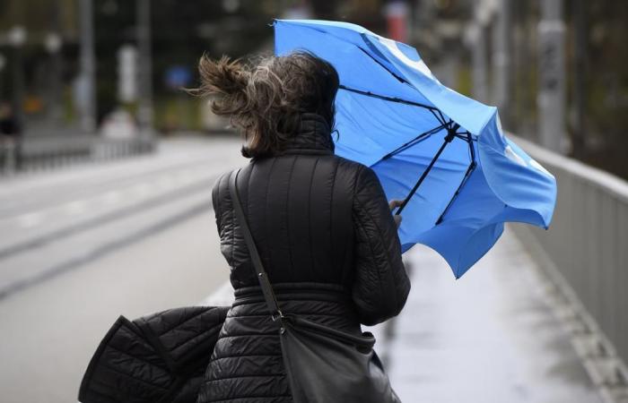 Wetter in der Schweiz: Windböen von 90 km/h erwartet