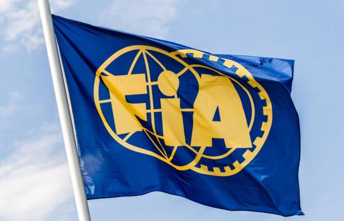 Die FIA ​​verstärkt ihr Führungsteam mit zwei Neueinstellungen