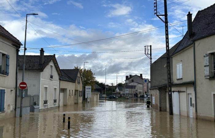 in La Ferté-Gaucher: „Wir schlafen nicht mehr, wenn wir wissen, dass das Wasser steigen wird“