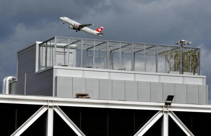 Asyl: Schengen-Staaten wollen Rückführungen beschleunigen