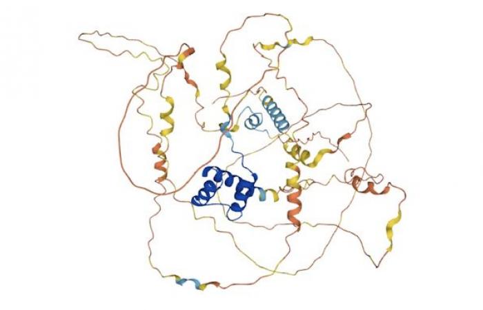 Proteindesign und Vorhersage ihrer Strukturen, zwei Seiten derselben Medaille