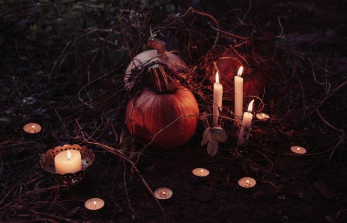 Halloween 2024: Besuchen Sie einen gruseligen Spukgarten in Meaux (77)