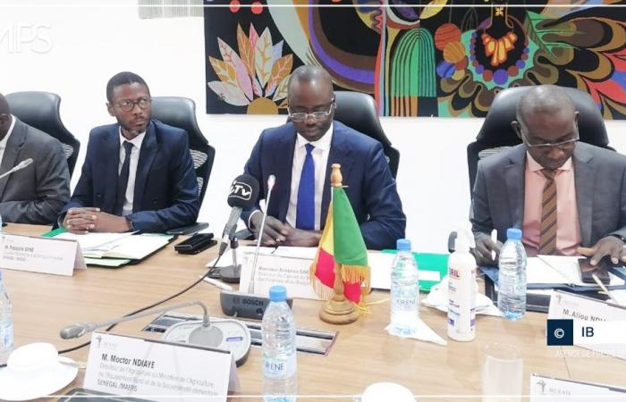 SENEGAL-LAND-WIRTSCHAFT / Agrarmarketing: Interessenvertreter eingeladen, sich zu organisieren, um der Finanzierungsherausforderung zu begegnen – Senegalesische Presseagentur