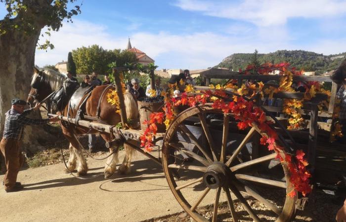 die Ernte der Geschichte in Chusclan, zwischen Traditionen und Familie