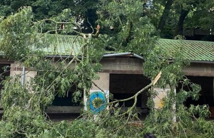 Wetterbericht. 5.100 Haushalte in Ain nach dem Sturm Kirk ohne Strom