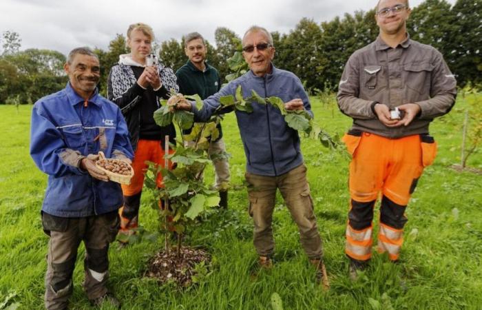 Seine-Maritime: In der Nähe von Rouen werden bald Esat-Süßwaren aus Haselnüssen, Honig und lokalen Früchten hergestellt