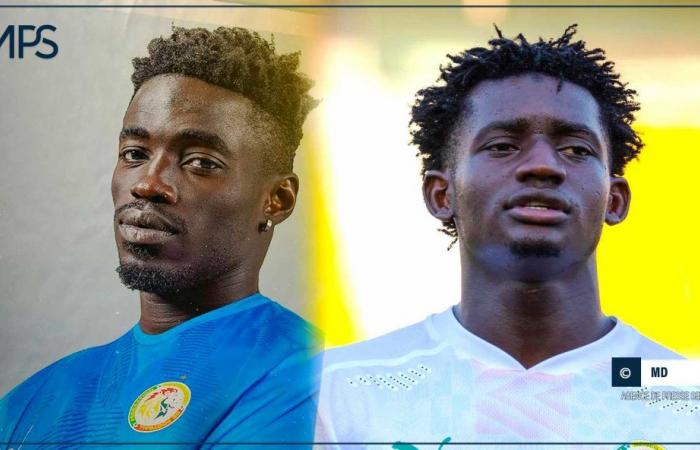 SENEGAL-AFRIKA-FUSSBALL / Nationalmannschaft A: Cheikh Lo Ndoye und Abdoul Aziz Ndiaye sind stolz, sich La Tanière anzuschließen – senegalesische Presseagentur