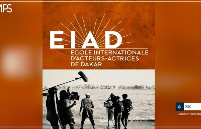 SENEGAL-CINEMA / Einweihung einer Ausbildungs- und Professionalisierungsschule für Schauspieler, Samstag in Dakar – senegalesische Presseagentur