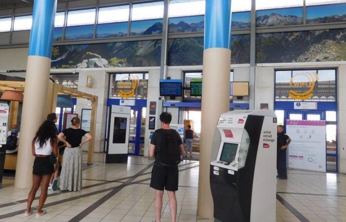 Sturm Kirk. Ein Baum fällt auf die Strecke zwischen Lourdes und Pau: Der am Morgen unterbrochene Bahnverkehr wurde am Mittag wieder aufgenommen