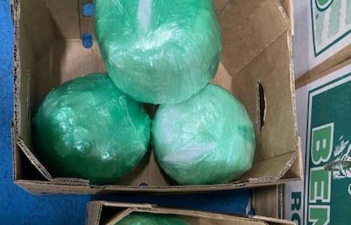 „Crystal Meth“: Fast 15 kg in einem Lagerhaus in Quebec beschlagnahmt