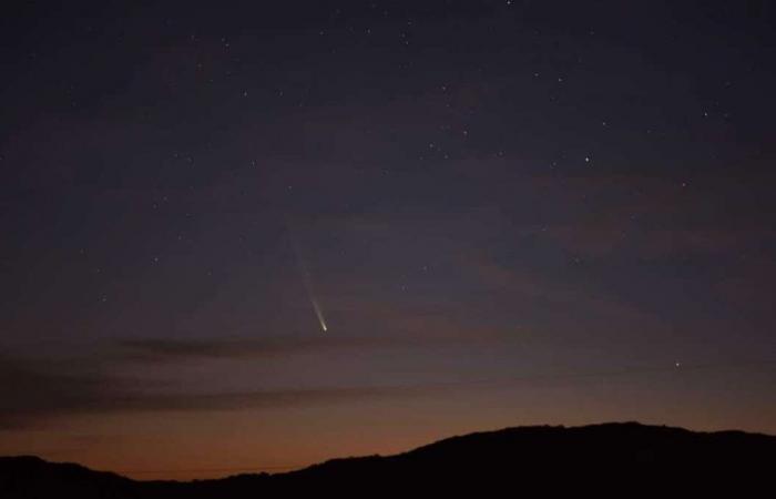 Schauen Sie nach oben: Vielleicht sehen Sie heute Nacht einen Kometen am Himmel