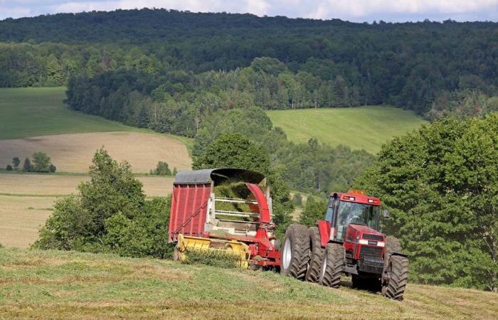 Der Preis für landwirtschaftliche Flächen steigt in nur wenigen Monaten um 5,4 %