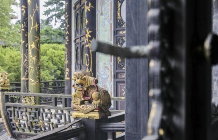 Polizei sucht Zeugen nach gewaltsamem Diebstahl im chinesischen Pavillon (Fotos)