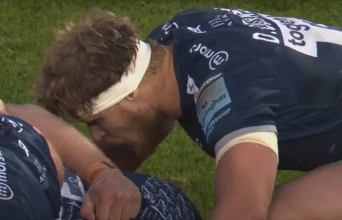 Dan du Preez, die starke Nummer 8 der Sale Sharks, im Visier von UBB? – Fünfzehn Ovale