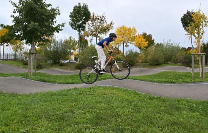 „Es gibt nicht viele solcher Strecken“: Auch wird die regionale Pumptrack-Meisterschaft ausrichten