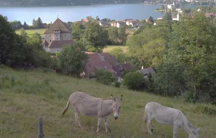 Die Gemeinde Lathuile bietet ihren Bewohnern sauberes Gas