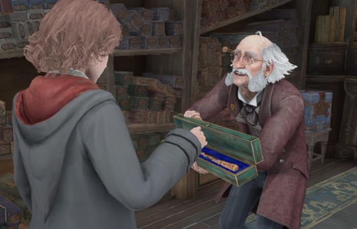 Leak (?) Hogwarts Legacy Die Definitive Edition von Hogwarts Legacy erscheint mit über 10 Stunden neuen Inhalten